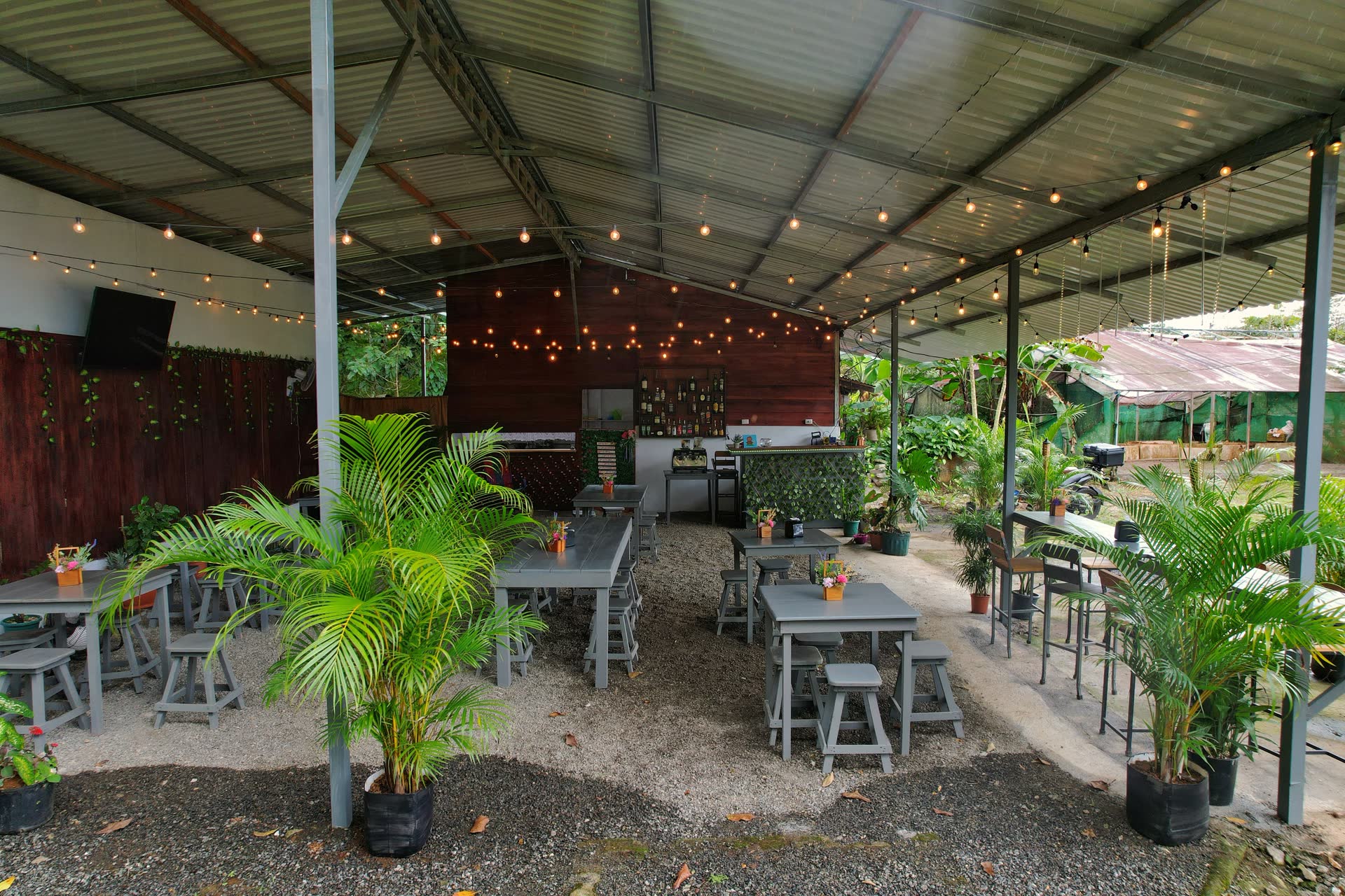Restaurante familiar tropical con madera, luz cálida y ambiente abierto después de la visita
